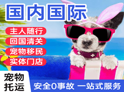 湿地机场快运国际宠物托运 【国